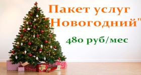Пакет услуг "Новогодний" Пакет услуг "Новогодний"